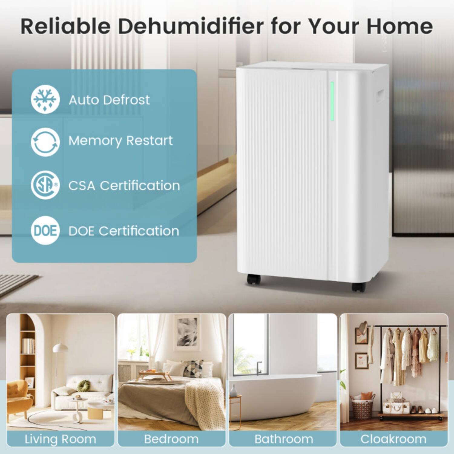 Reliable Dehumidifier for Your Home

- Auto Defrost
- Memory Restart
- CSA Certification
- DOE Certification

Living Room
Bedroom
Bathroom
Cloakroom