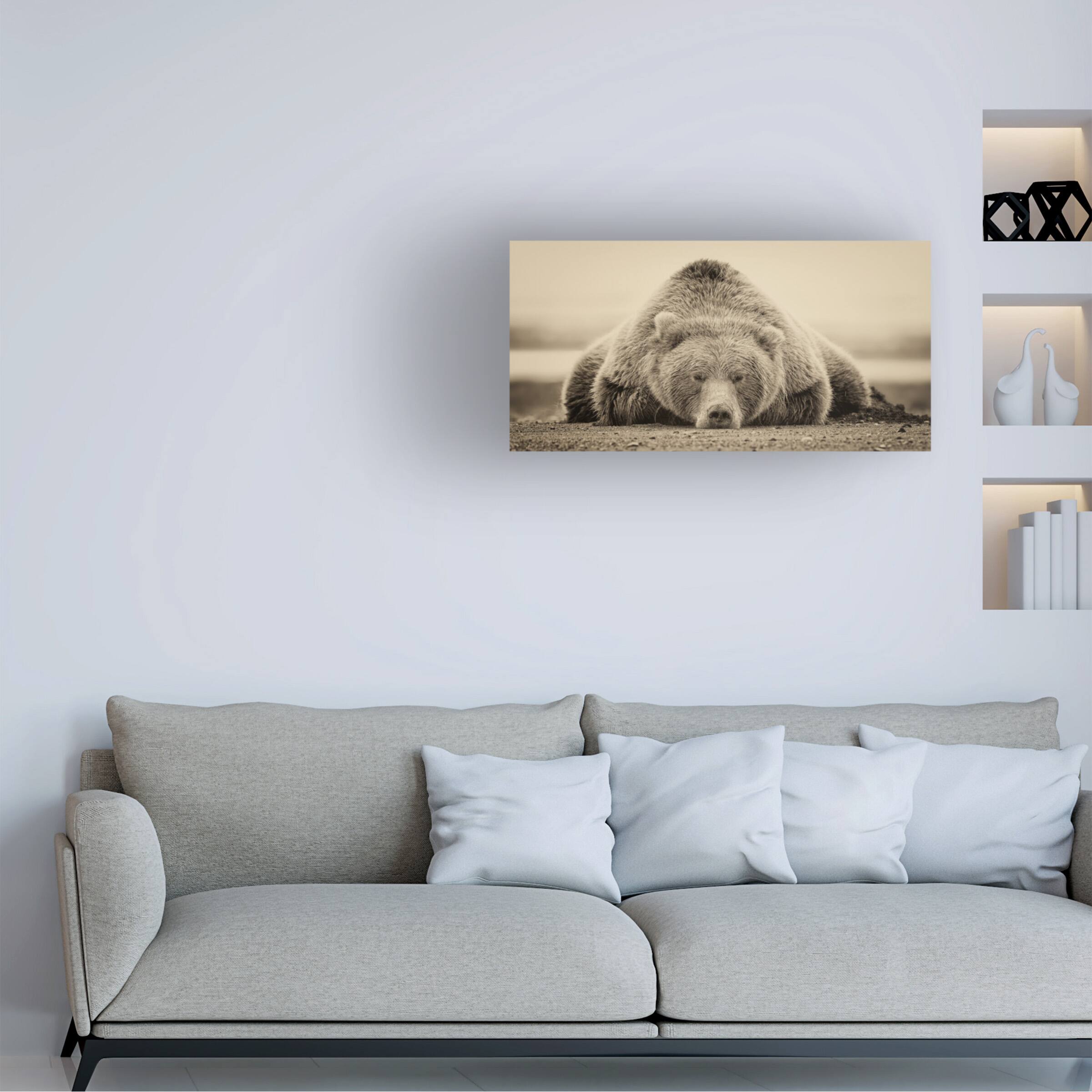 Angle. Trademark Fine Art - Phburchett 'Deep Sleep' Canvas Art - Multicolor.