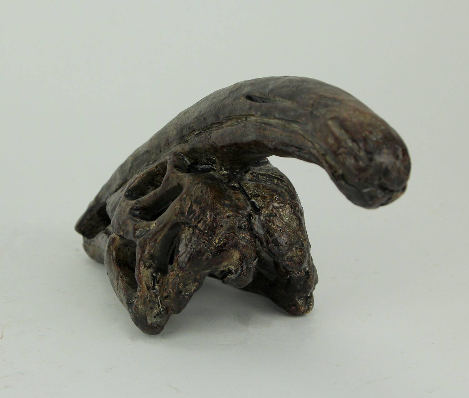 Alt View 2. Zeckos - 8 in Parasaurolophus Dinosaur Skull Fossil Resin Statue Home Office Decor - Brown.