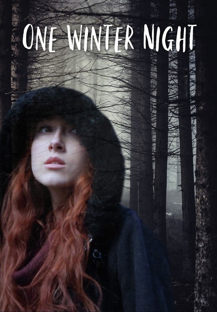 One Winter Night (MOD) (DVD Movie) price history on PriceWatchPro