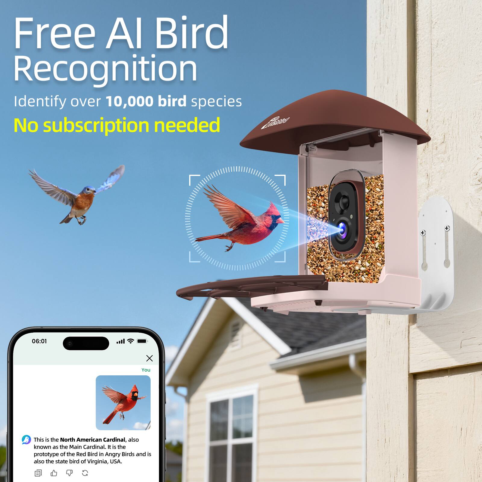Free AI Bird Recognition  
Identify over 10,000 bird species  
No subscription needed  

This is the North American Cardinal, also known as the Main Cardinal. It is the prototype of the Red Bird in Angry Birds and is also the state bird of Virginia, USA.