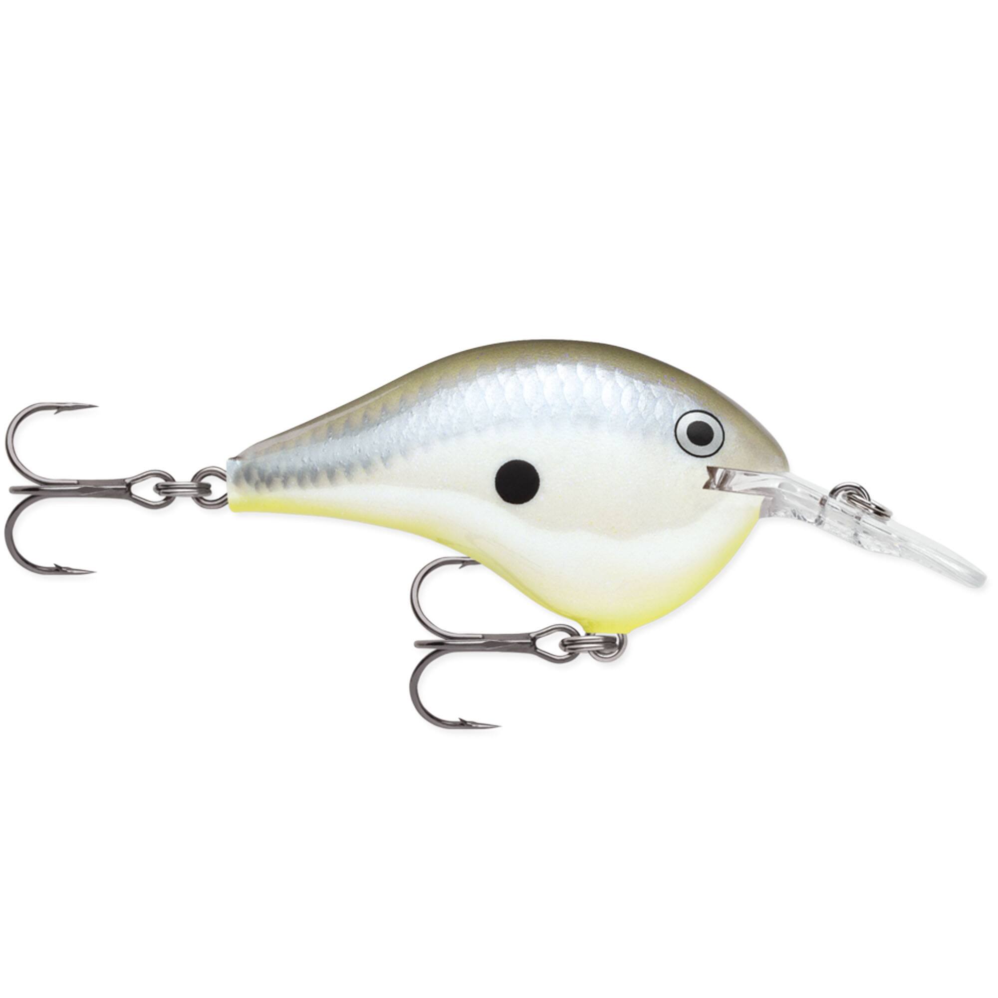 Disco Shad