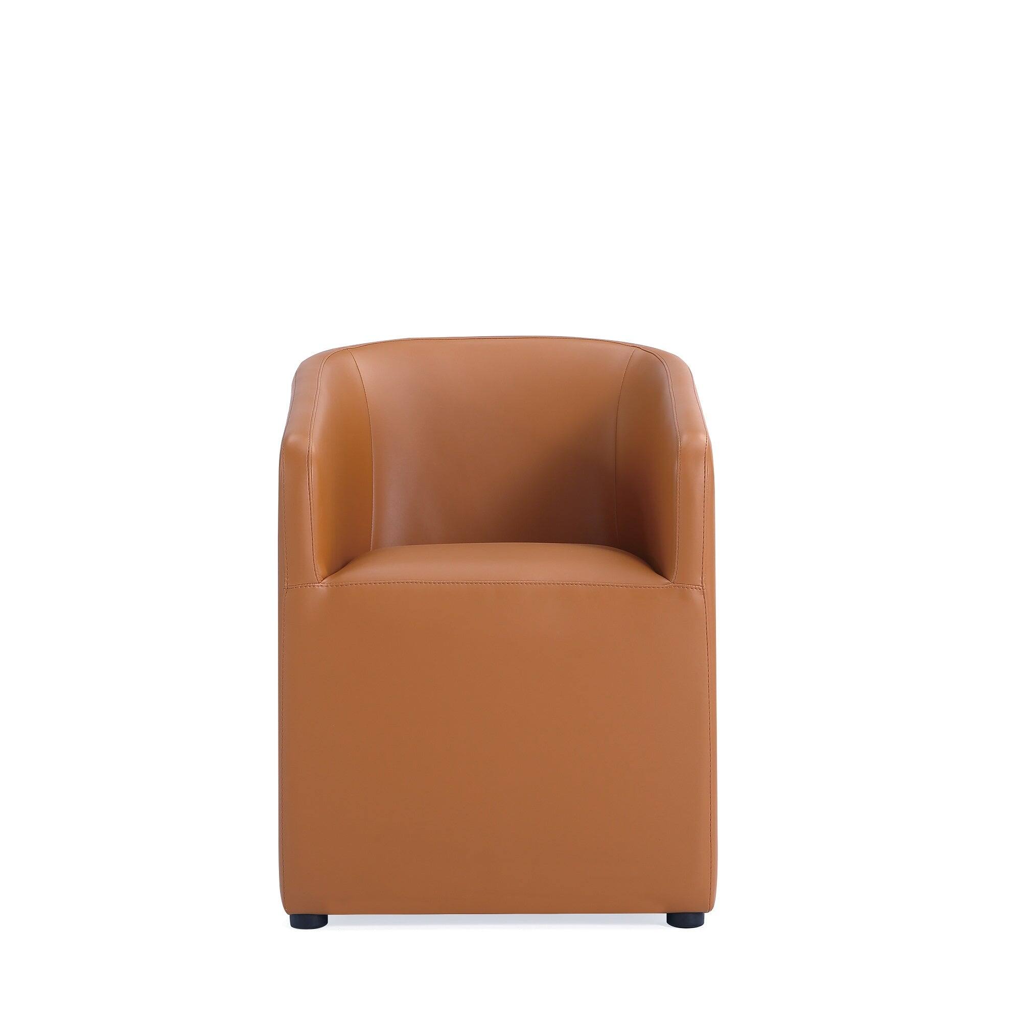 Saddle Brown