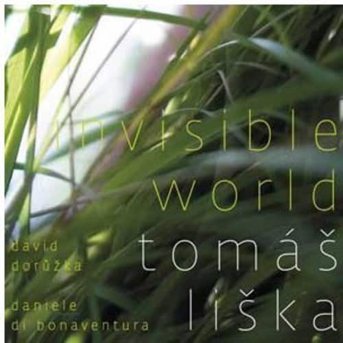 David Doruzka - Invisible World  - COMPACT DISCS