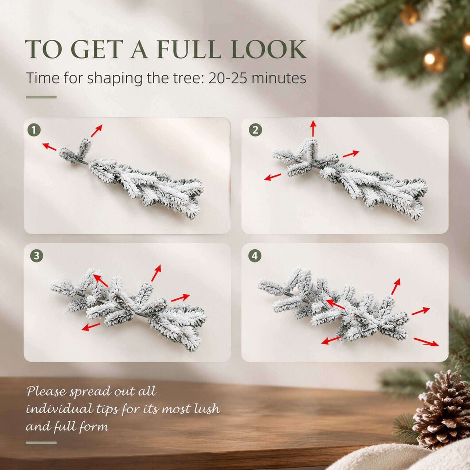 TO GET A FULL LOOK  
Time for shaping the tree: 20-25 minutes

1
2
3
4

Please spread out all individual tips for its most lush and full form