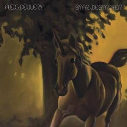 AEX DELIVERY
SPARDESARYER
STAR DESIGNER