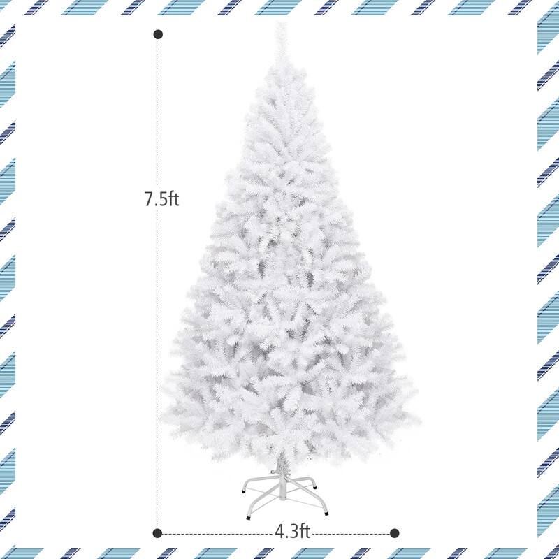 7.5ft  
4.3ft