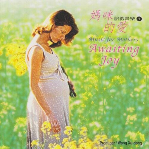 1. Music for Mothers Awaiting Joy  
   Producer / Wang Xu-dong  

2. 媽咪的愛  
   Music for Mothers Awaiting Joy