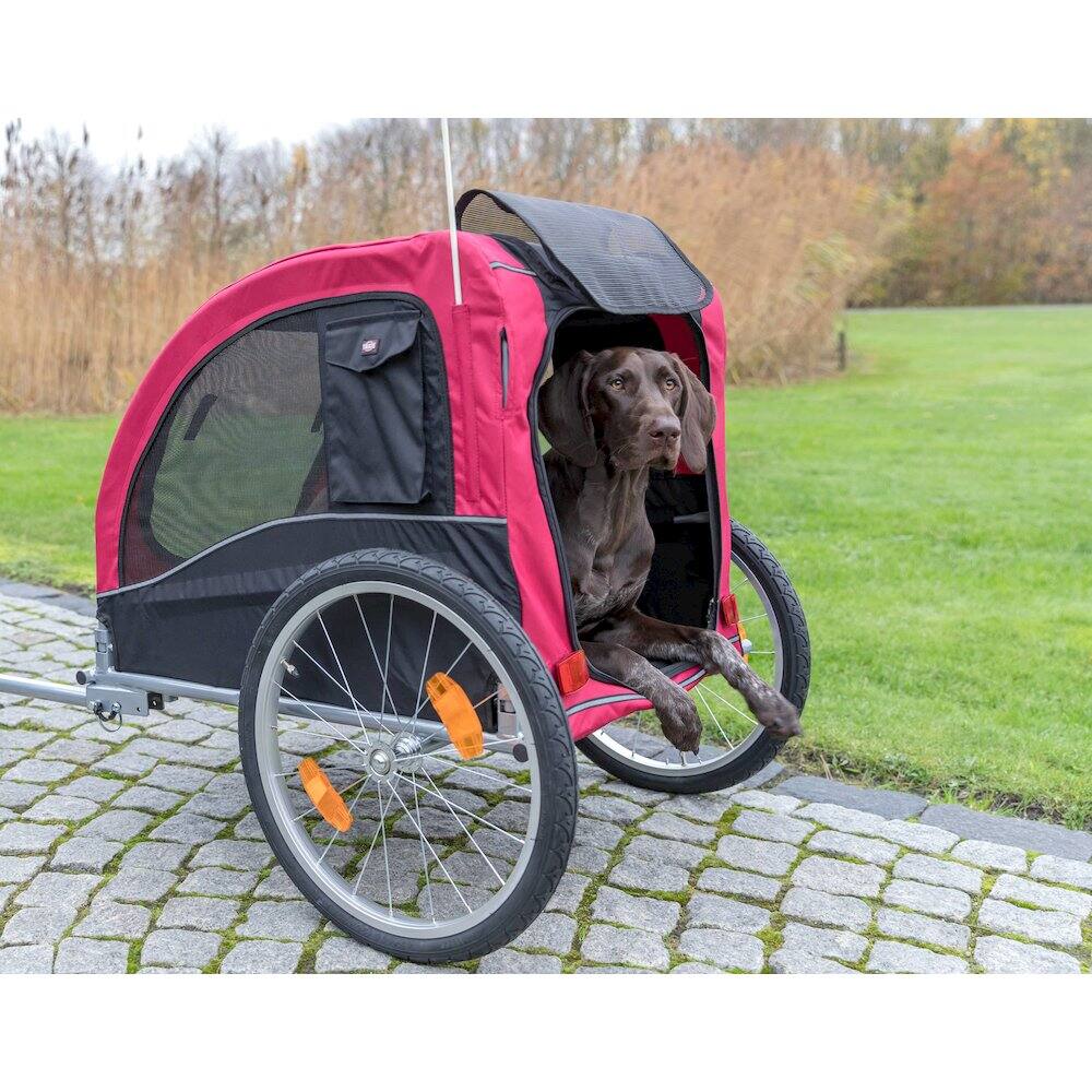 Angle. TRIXIE - Foldable 2-in-1 Bicycle Trailer for Dogs with Windows, Black & Red - Black/Red.