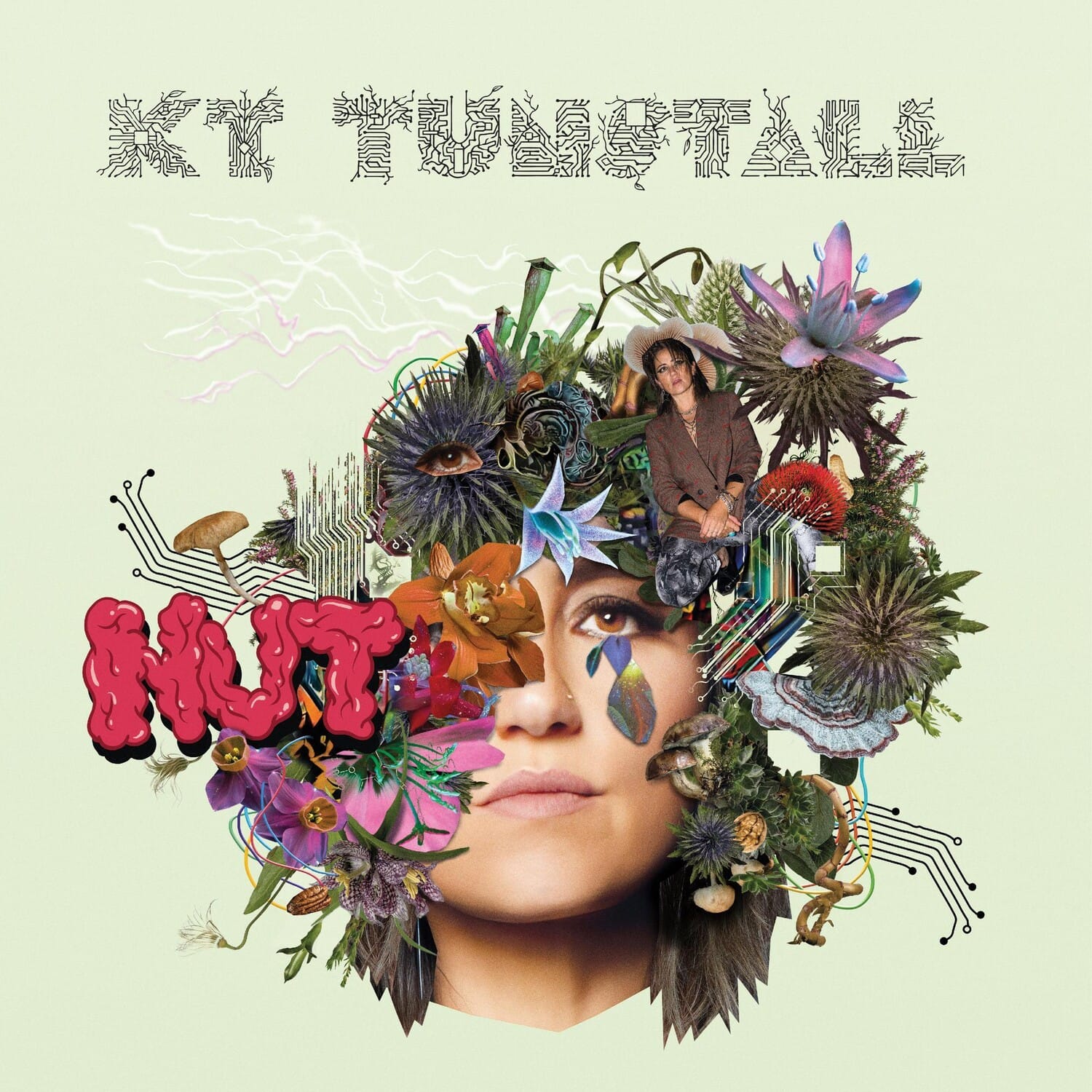KT Tunstall - Nut  - CASSETTES