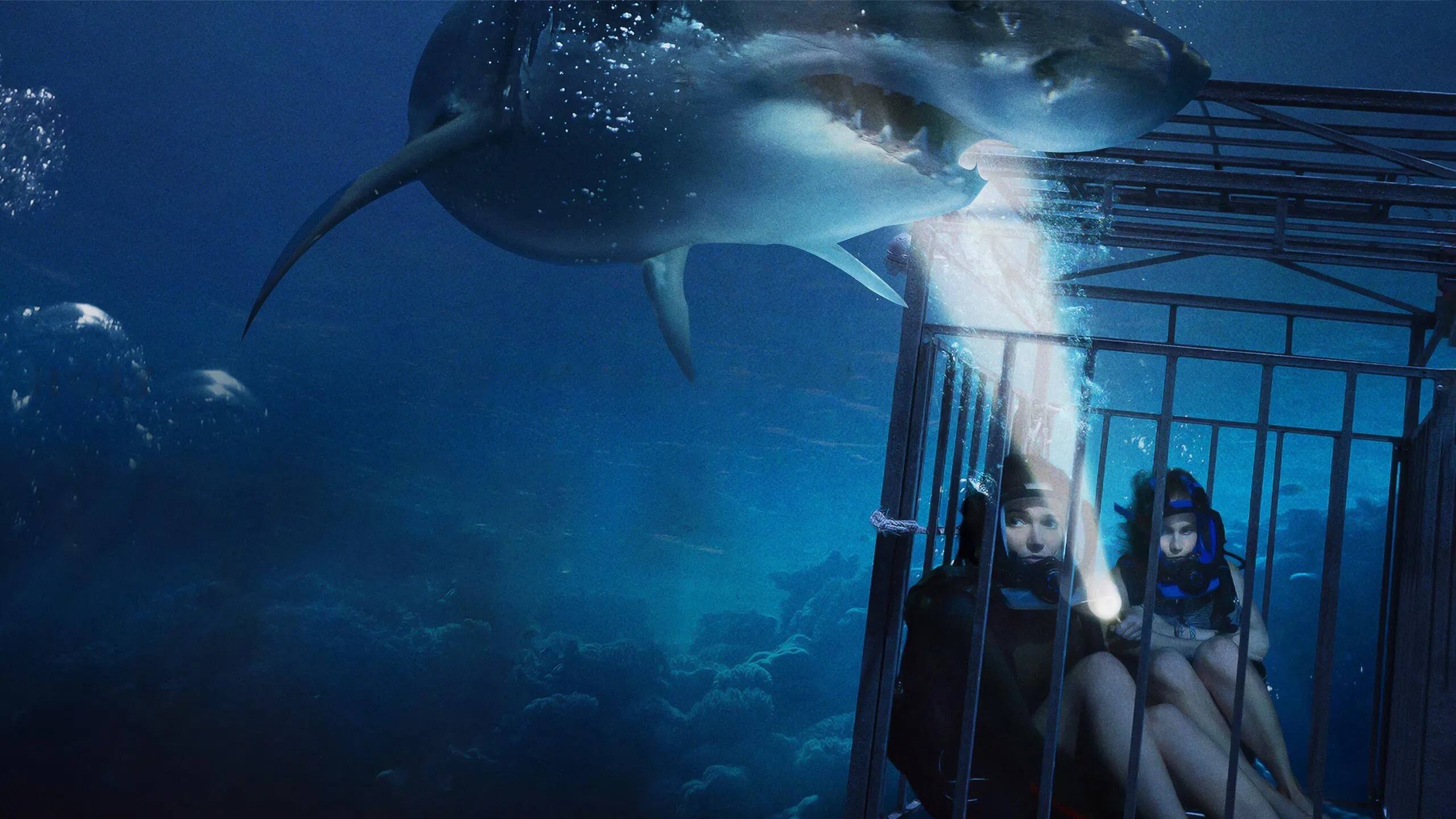 Alt View 1. 47 Meters Down   - DVD.
