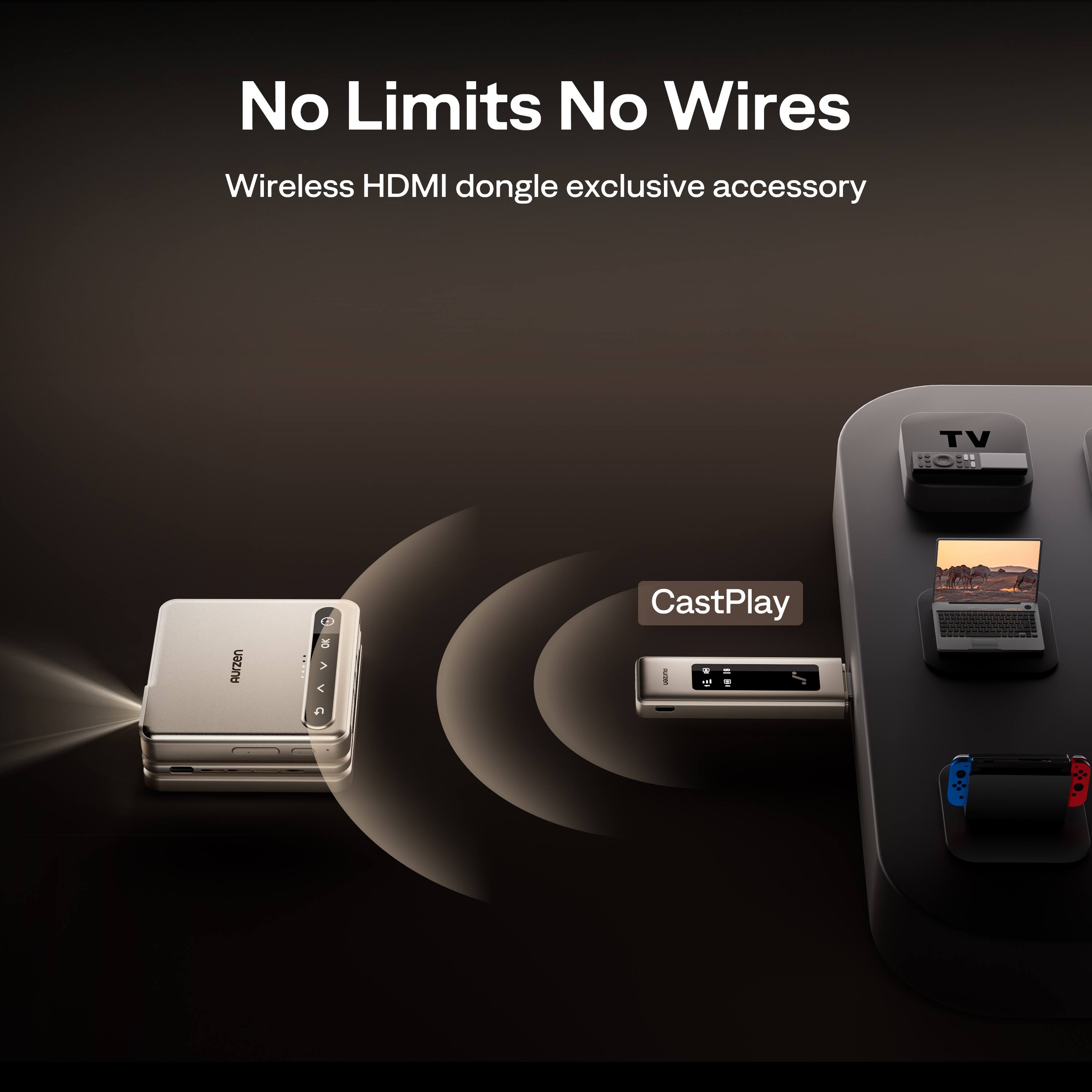 No Limits No Wires  
Wireless HDMI dongle exclusive accessory  

CastPlay 2