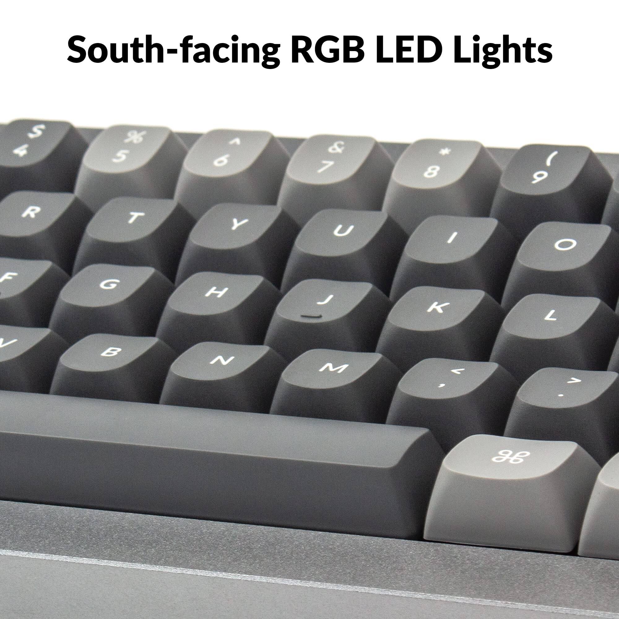 South-facing RGB LED Lights