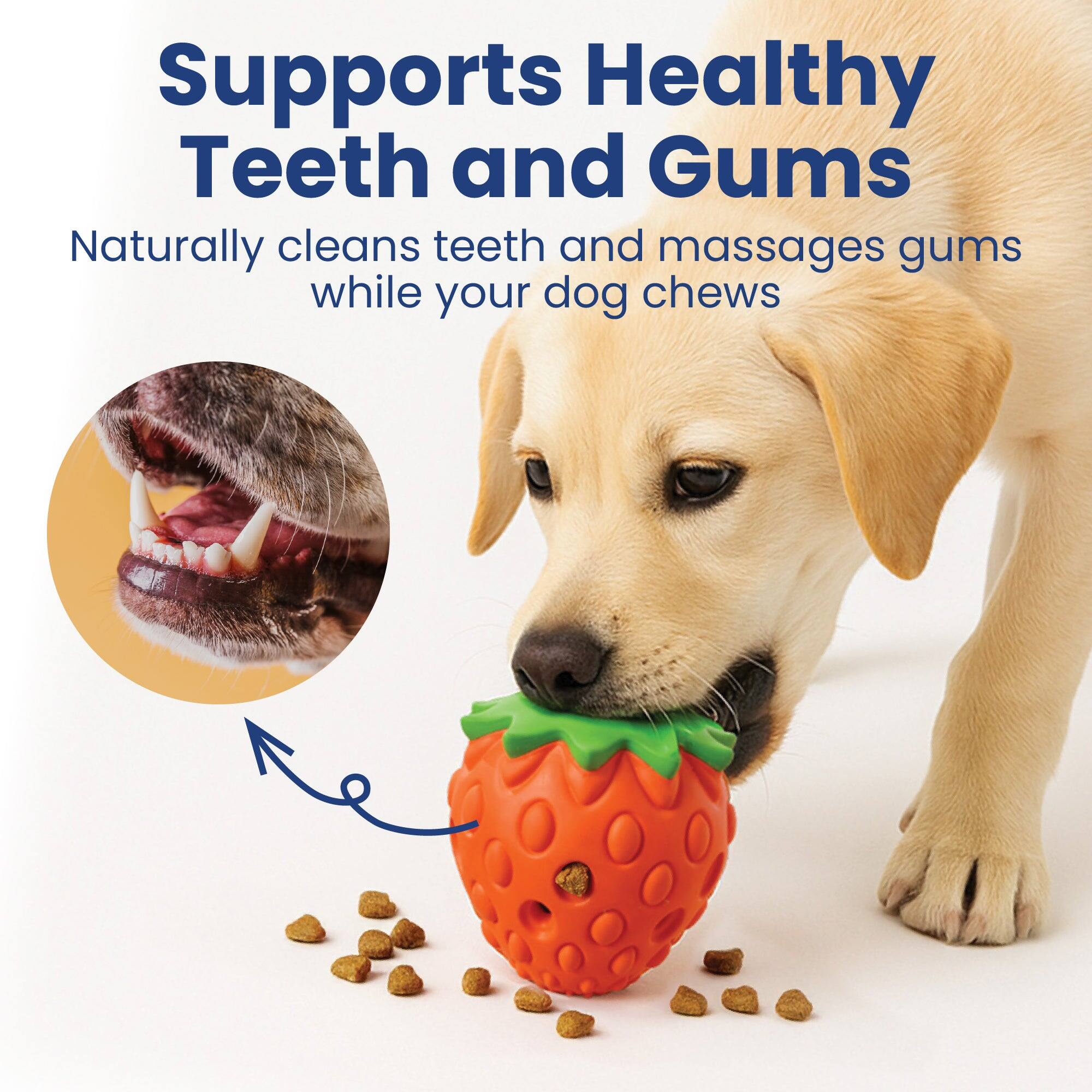 Supports Healthy Teeth and Gums  
Naturally cleans teeth and massages gums while your dog chews