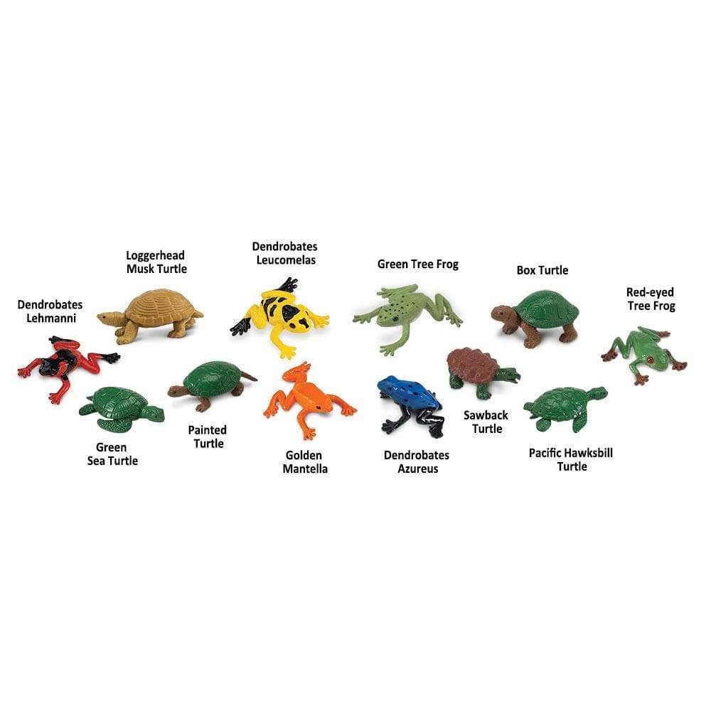 Loggerhead Musk Turtle  
Dendrobates Leucomelas  
Green Tree Frog  
Box Turtle  
Red-eyed Tree Frog  
Green Sea Turtle  
Painted Turtle  
Golden Mantella  
Sawback Turtle  
Dendrobates Azureus  
Pacific Hawksbill Turtle