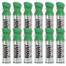 Boost Oxygen - 5 Liter Canned Oxygen Bottle with Mouthpiece, Natural (12 Pack) - Green/Silver