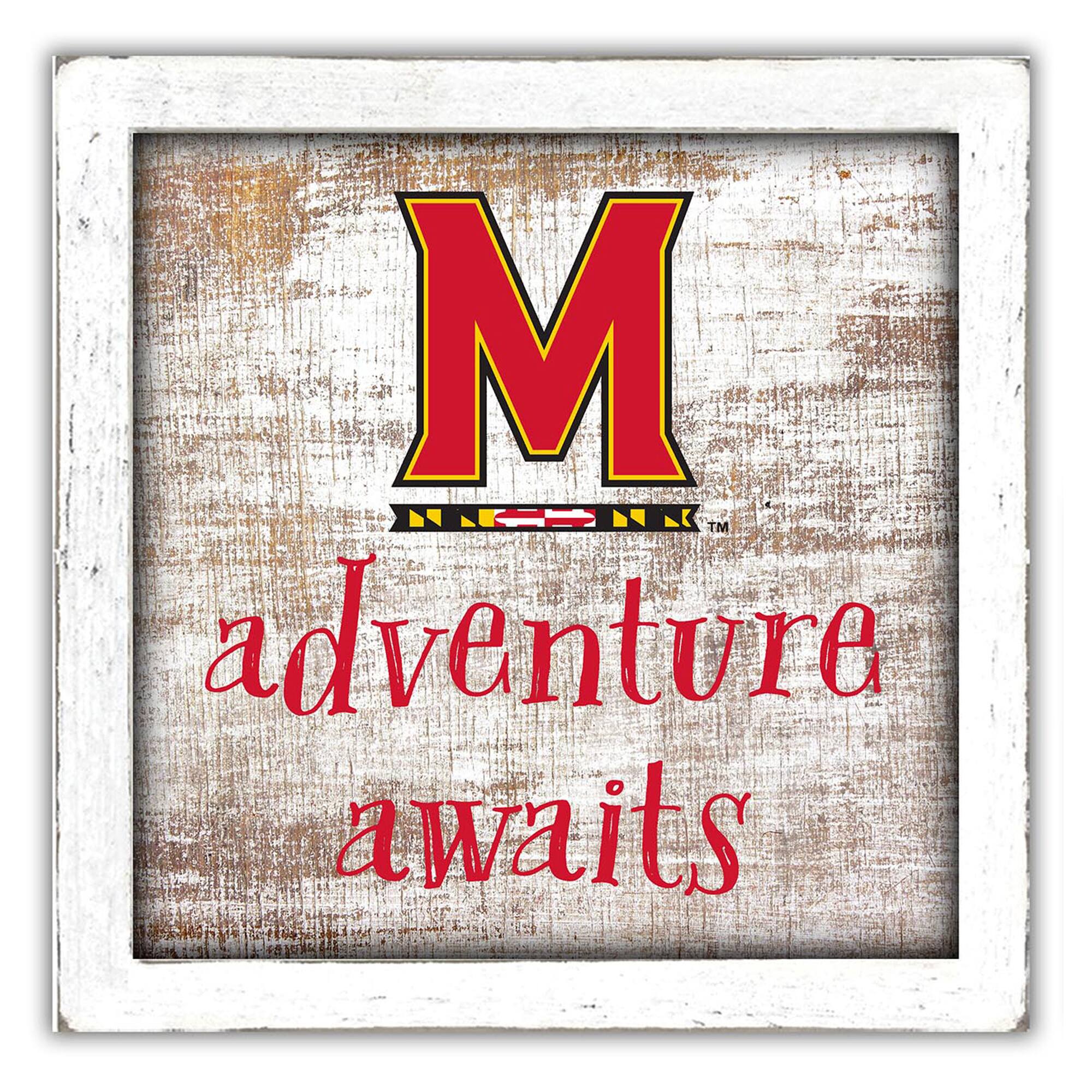 Maryland Terrapins 14'' x 13'' Adventure Awaits Money Box