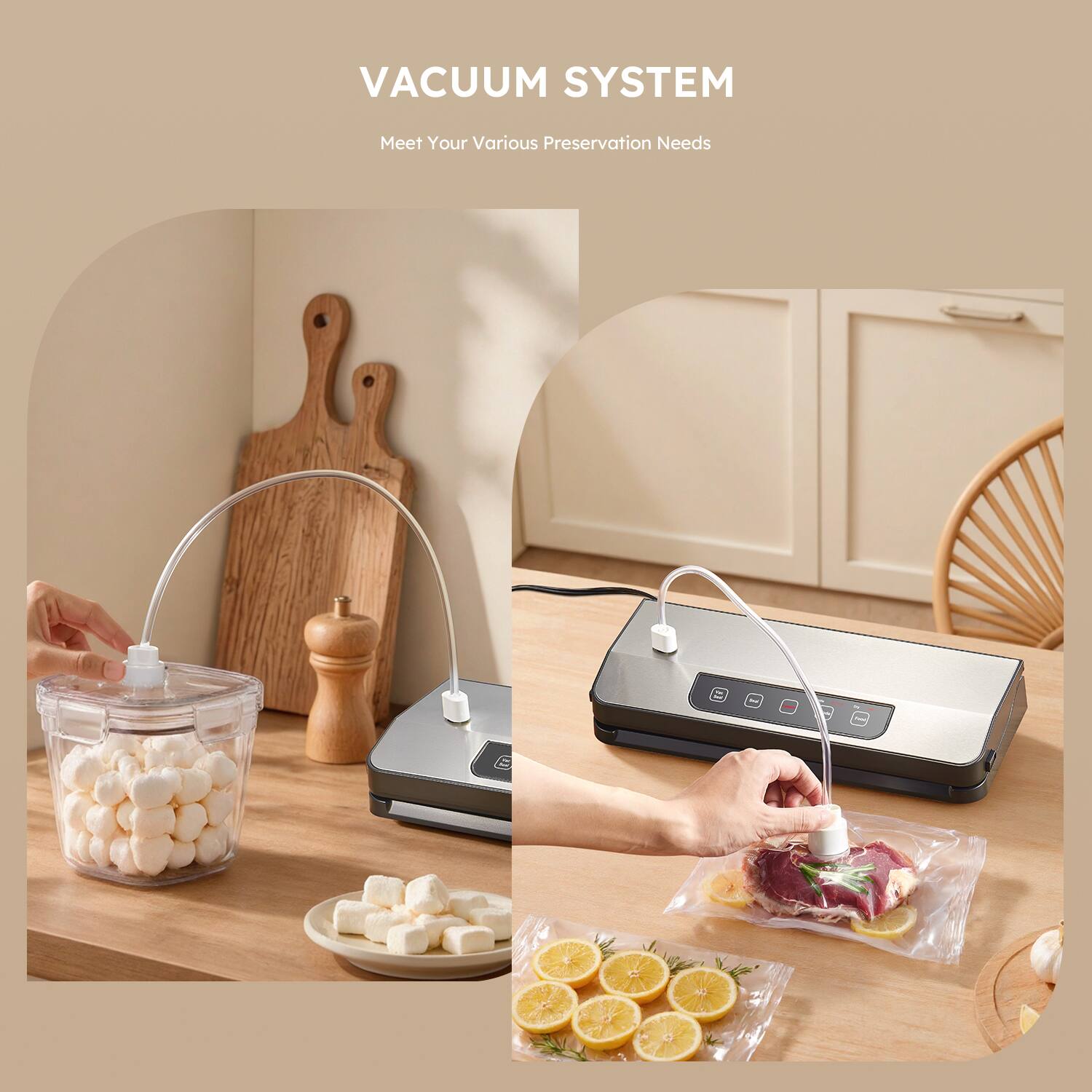 VACUUM SYSTEM  
Meet Your Various Preservation Needs