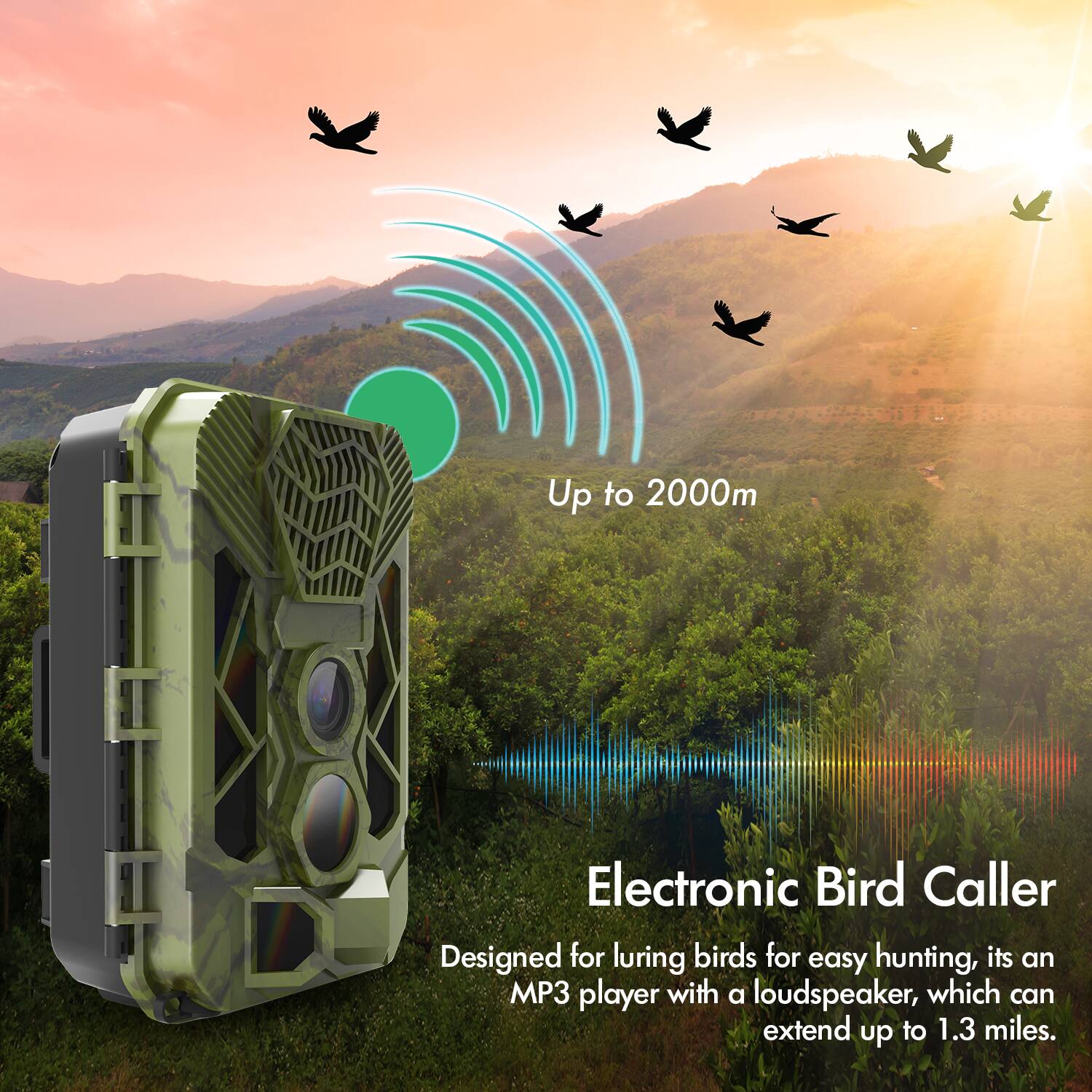 Up to 2000m

Electronic Bird Caller

Designed for luring birds for easy hunting, it's an MP3 player with a loudspeaker, which can extend up to 1.3 miles.