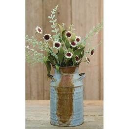 BreeBe - Bird's Eye Daisy Bush Cream 18" - Multi