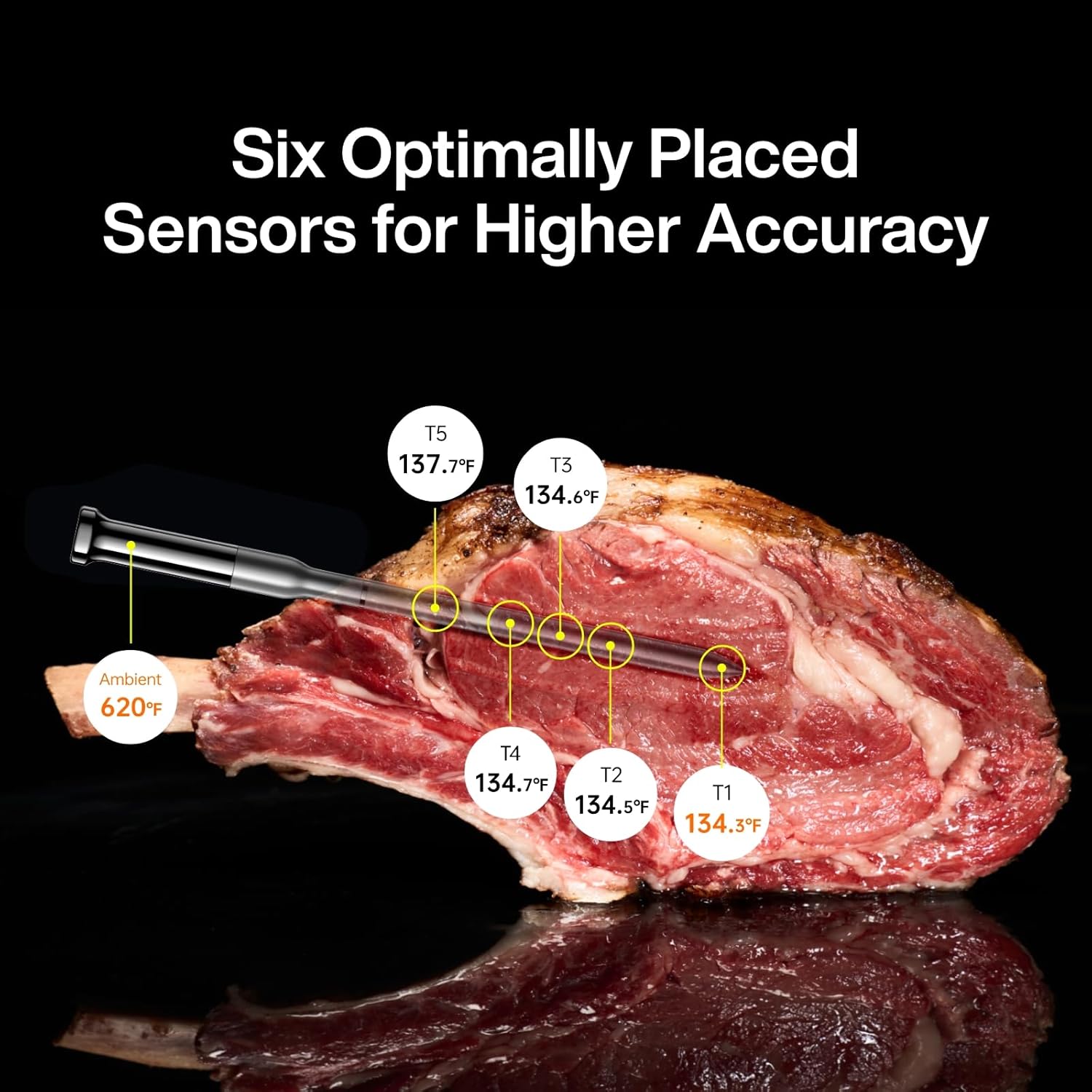 Six Optimally Placed Sensors for Higher Accuracy

T5 137.7°F  
T3 134.6°F  
Ambient 620°F  
T4 134.7°F  
T2 134.5°F  
T1 134.3°F