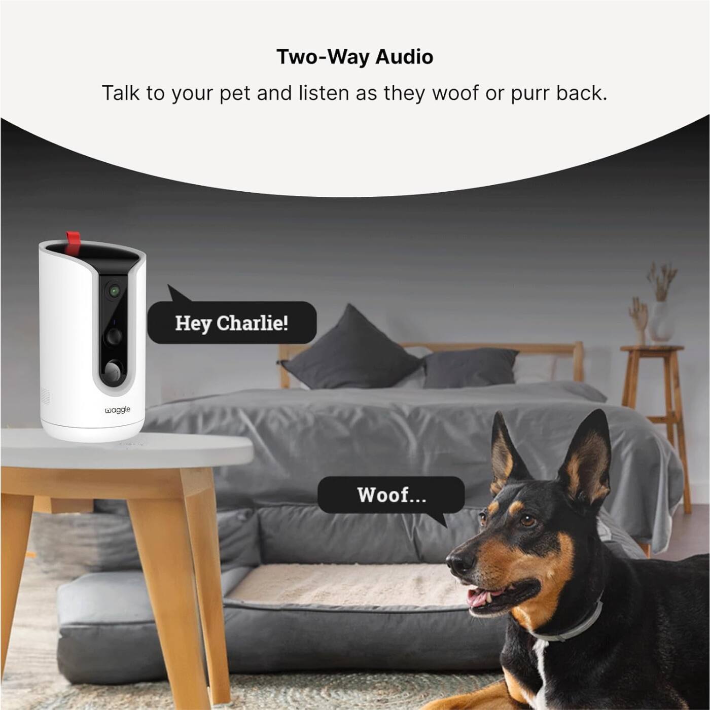 Two-Way Audio  
Talk to your pet and listen as they woof or purr back.  
Hey Charlie!  
Woof...