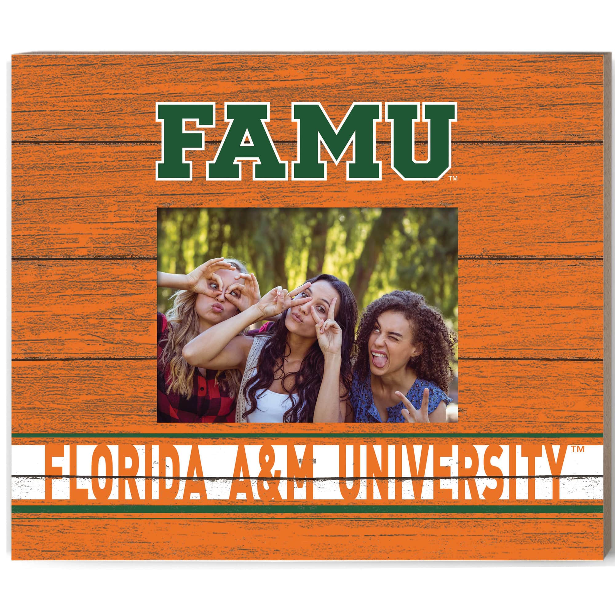 Jardine - Florida A&M Rattlers 11'' x 13'' Team Spirit Picture Frame - Orange price history on PriceWatchPro