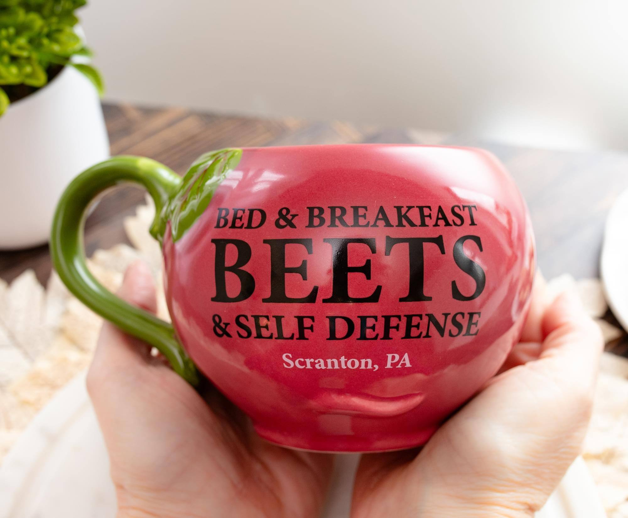 BED & BREAKFAST  
BEETS  
& SELF DEFENSE  
Scranton, PA