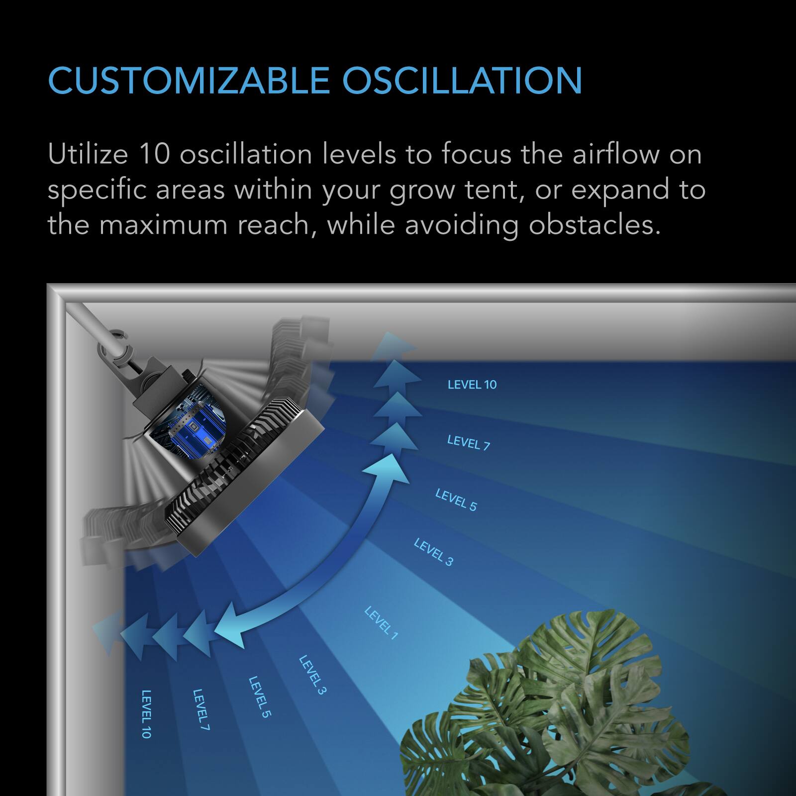 CUSTOMIZABLE OSCILLATION

Utilize 10 oscillation levels to focus the airflow on specific areas within your grow tent, or expand to the maximum reach, while avoiding obstacles.

LEVEL 10
LEVEL 10
LEVEL 7
LEVEL 5
LEVEL 3
LEVEL 7 LEVEL 5 LEVEL 3 LEVEL 1