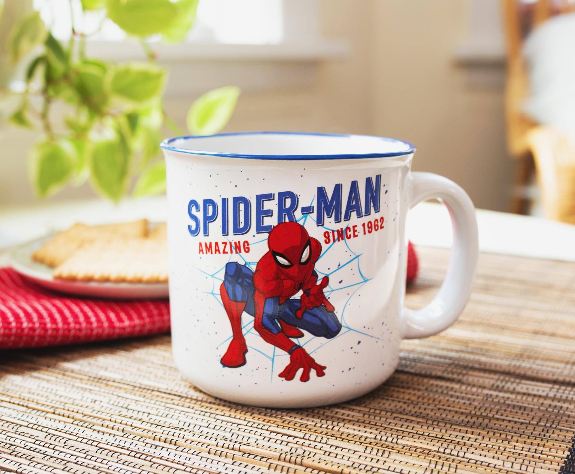 SPIDER-MAN  
AMAZING  
SINCE 1962