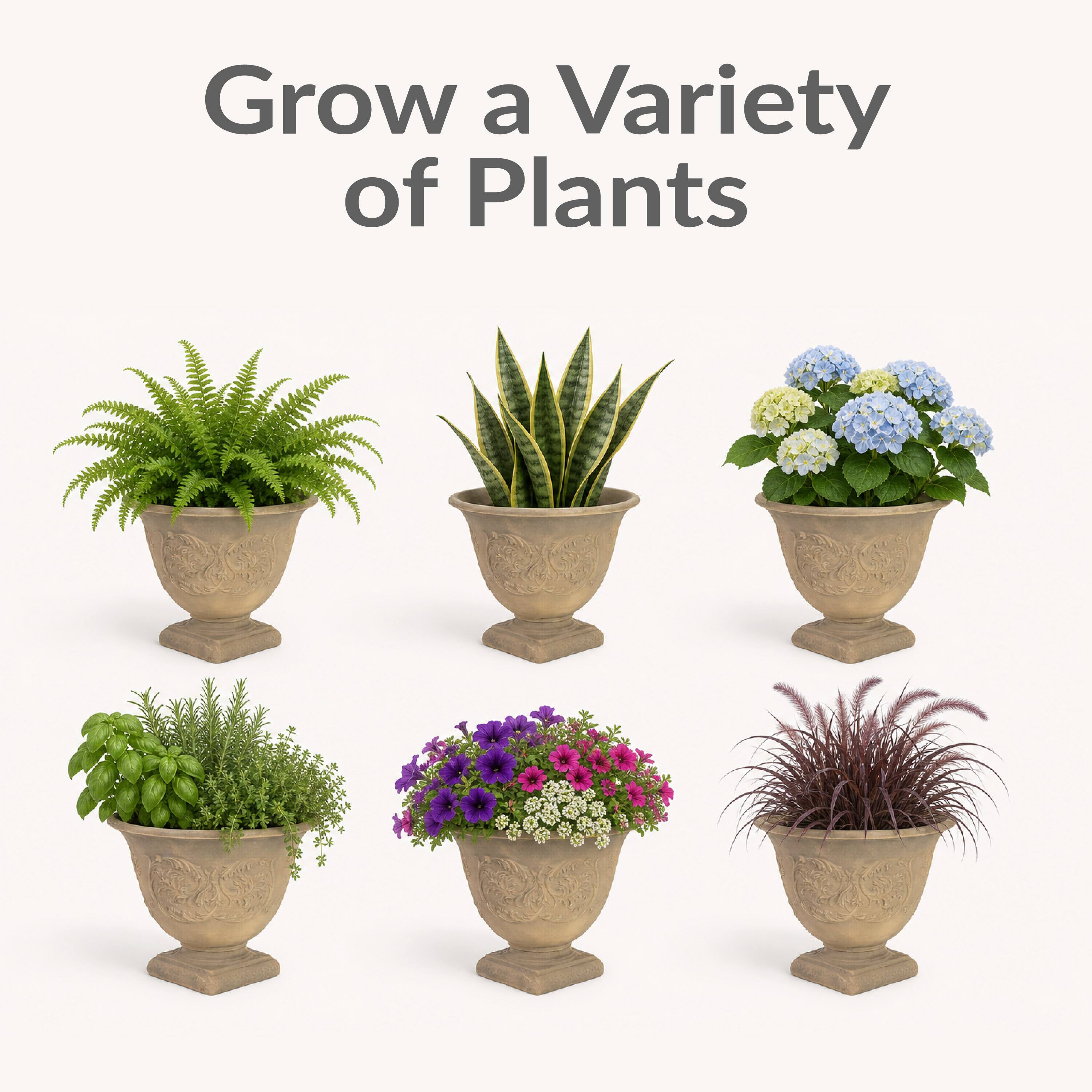Grow a Variety of Plants