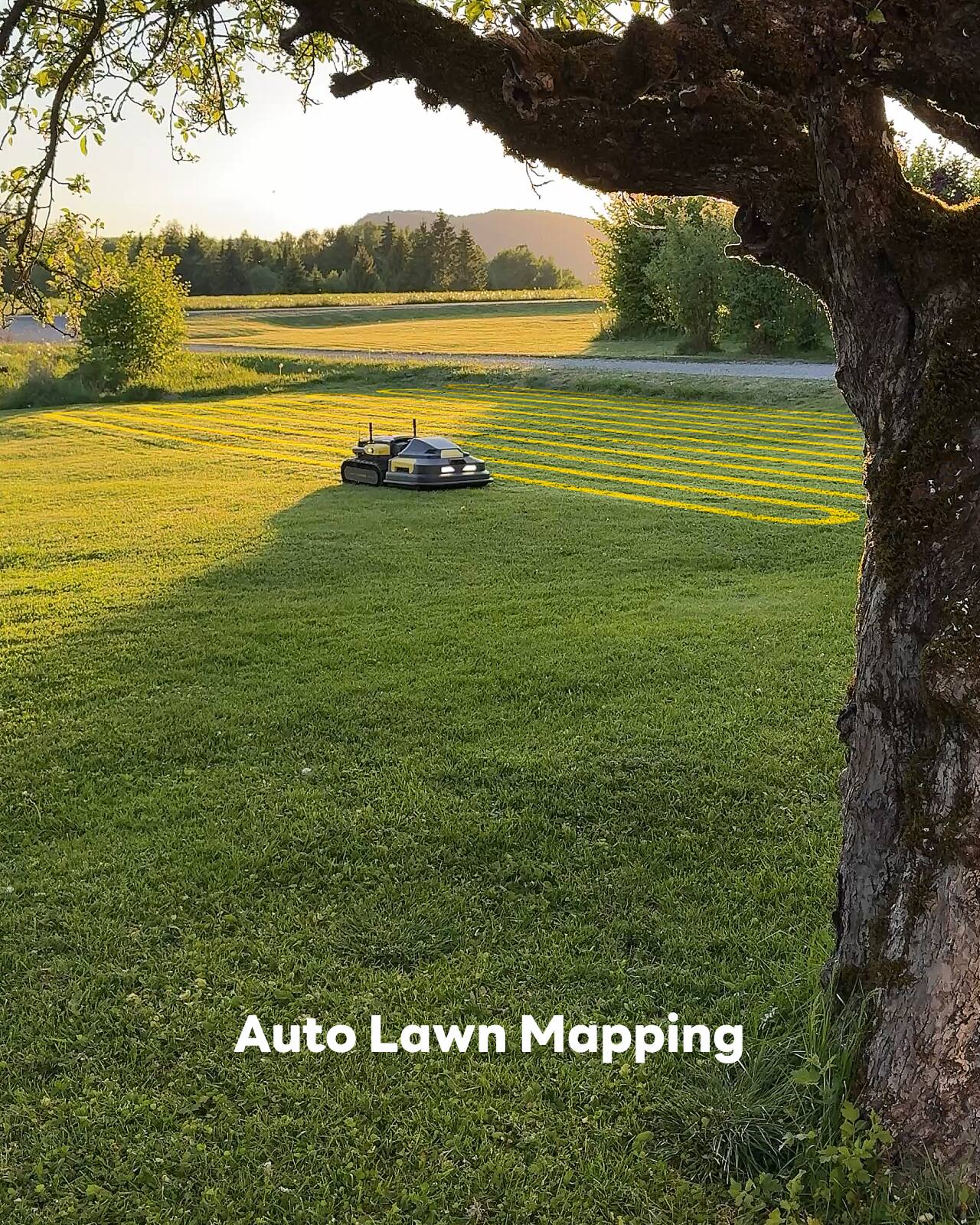 Auto Lawn Mapping