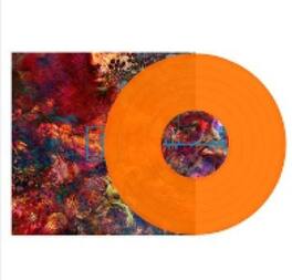 Frail Body - Artificial Bouquet - VINYL LP