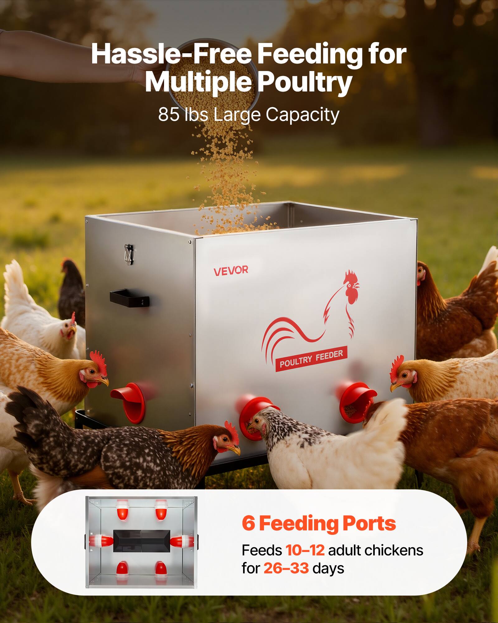 Hassle-Free Feeding for Multiple Poultry  
85 lbs Large Capacity  

VEVOR FEEDER POULTRY  

6 Feeding Ports  
Feeds 10-12 adult chickens for 26-33 days