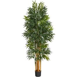 BreeBe - 5.5' Phoenix Artificial Palm tree with Natural Trunk - Green