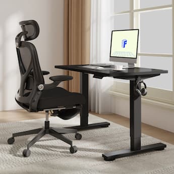 FlexiSpot E2 42''W Electric Adjustable Standing Desk Chipboard FlexiSpot E2 42''W Electric Adjustable Standing Desk Chipboard
