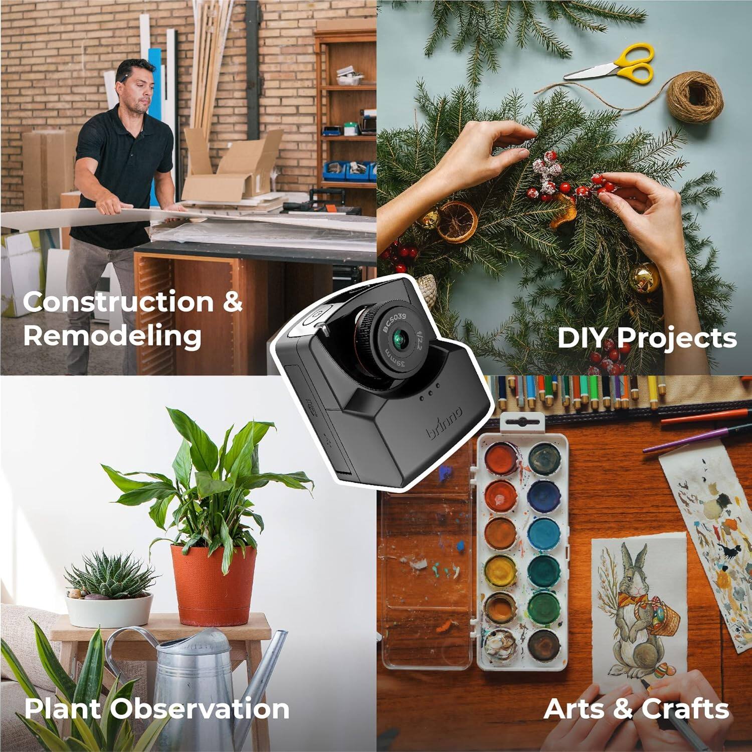 Construction & Remodeling, DIY Projects, Plant Observation, Arts & Crafts