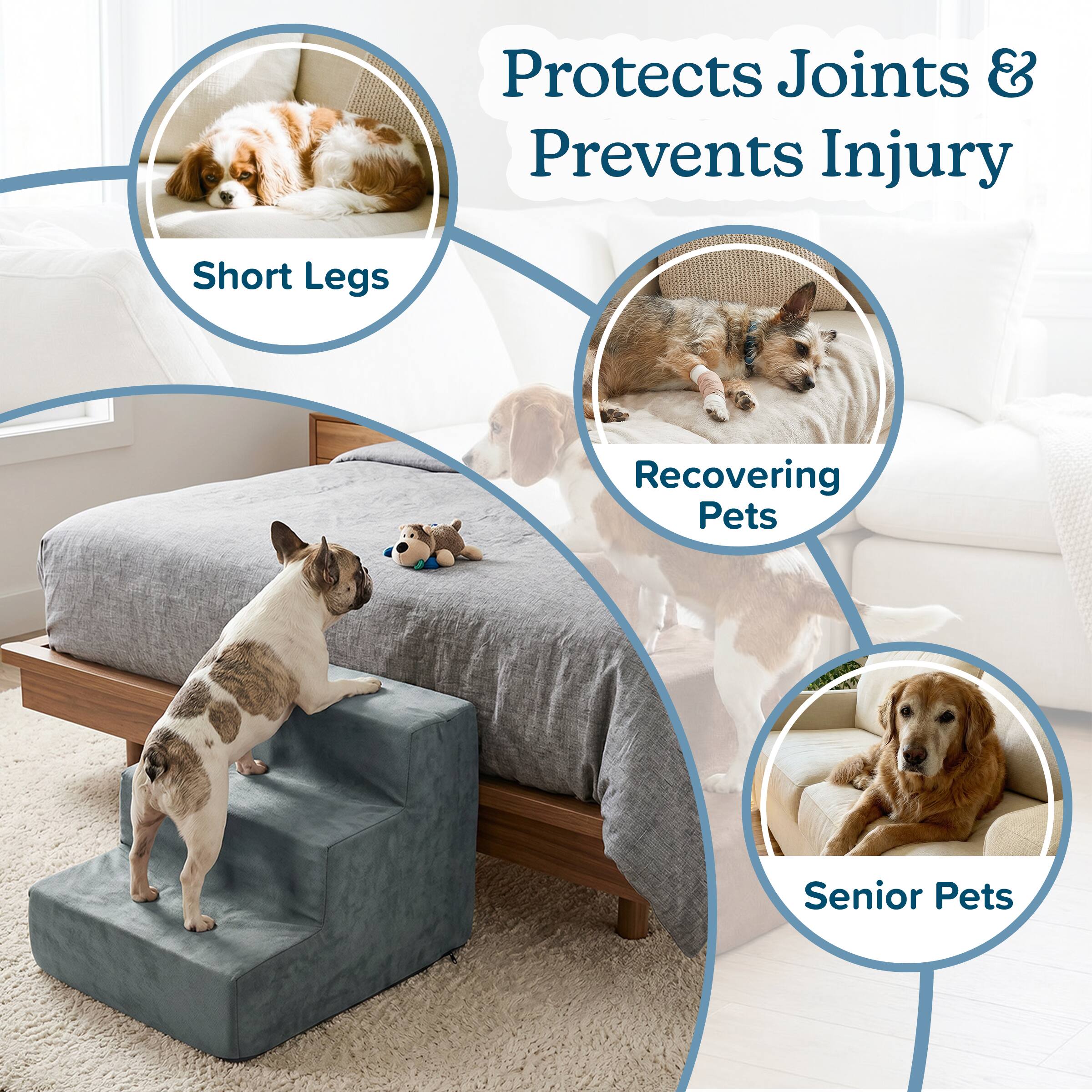 Protects Joints & Prevents Injury  
- Short Legs  
- Recovering Pets  
- Senior Pets