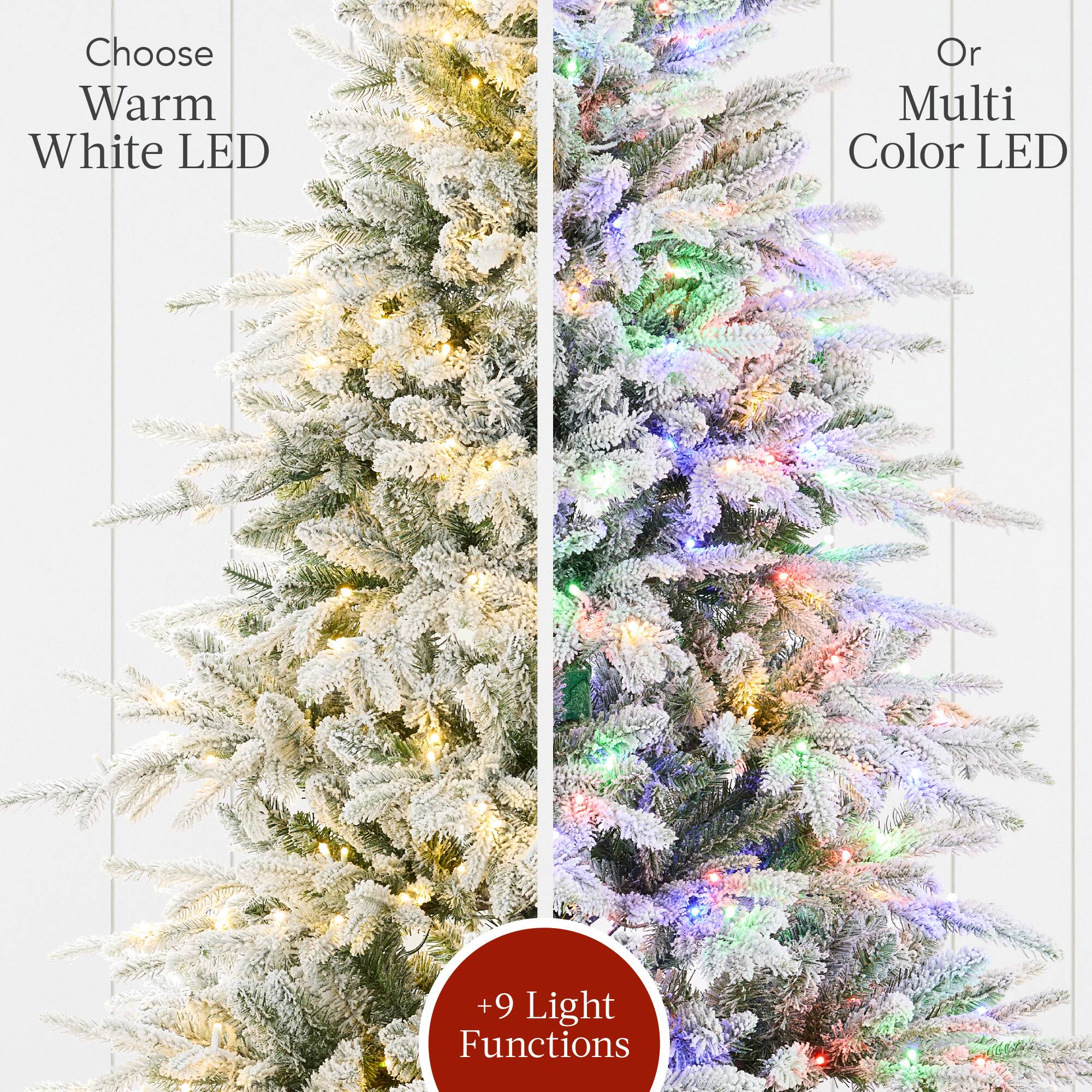 Choose Warm White LED or Multi Color LED +9 Light Functions