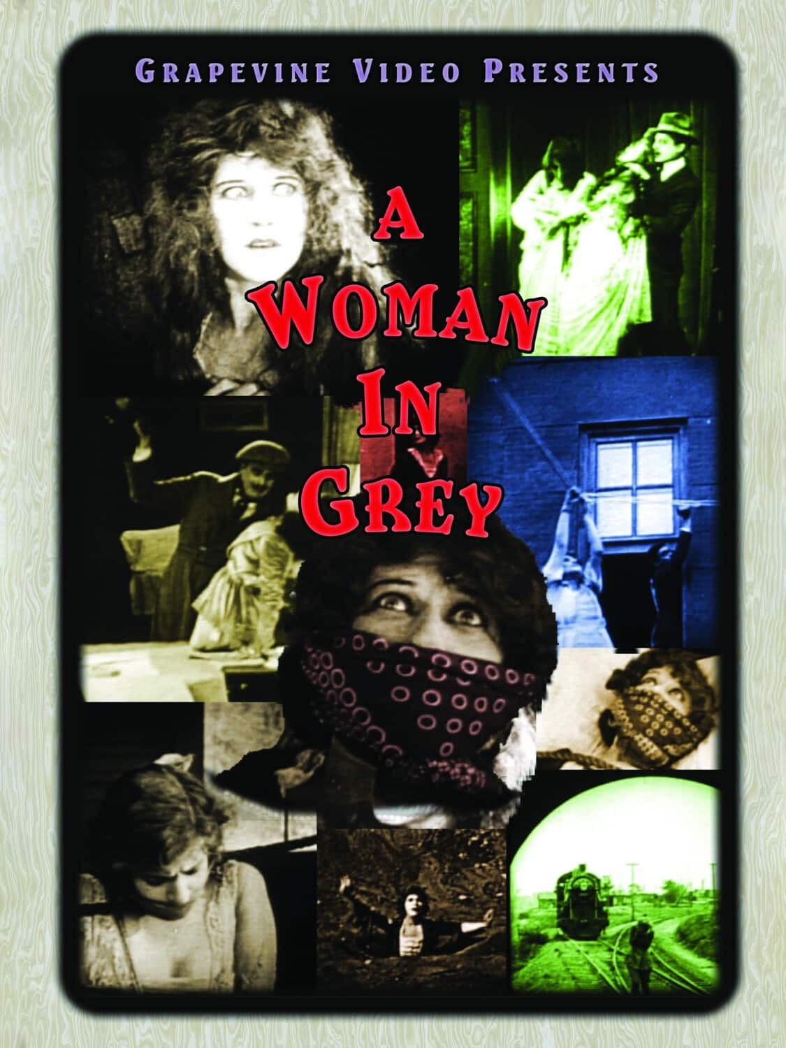 A Woman in Grey (1920)  - DVD