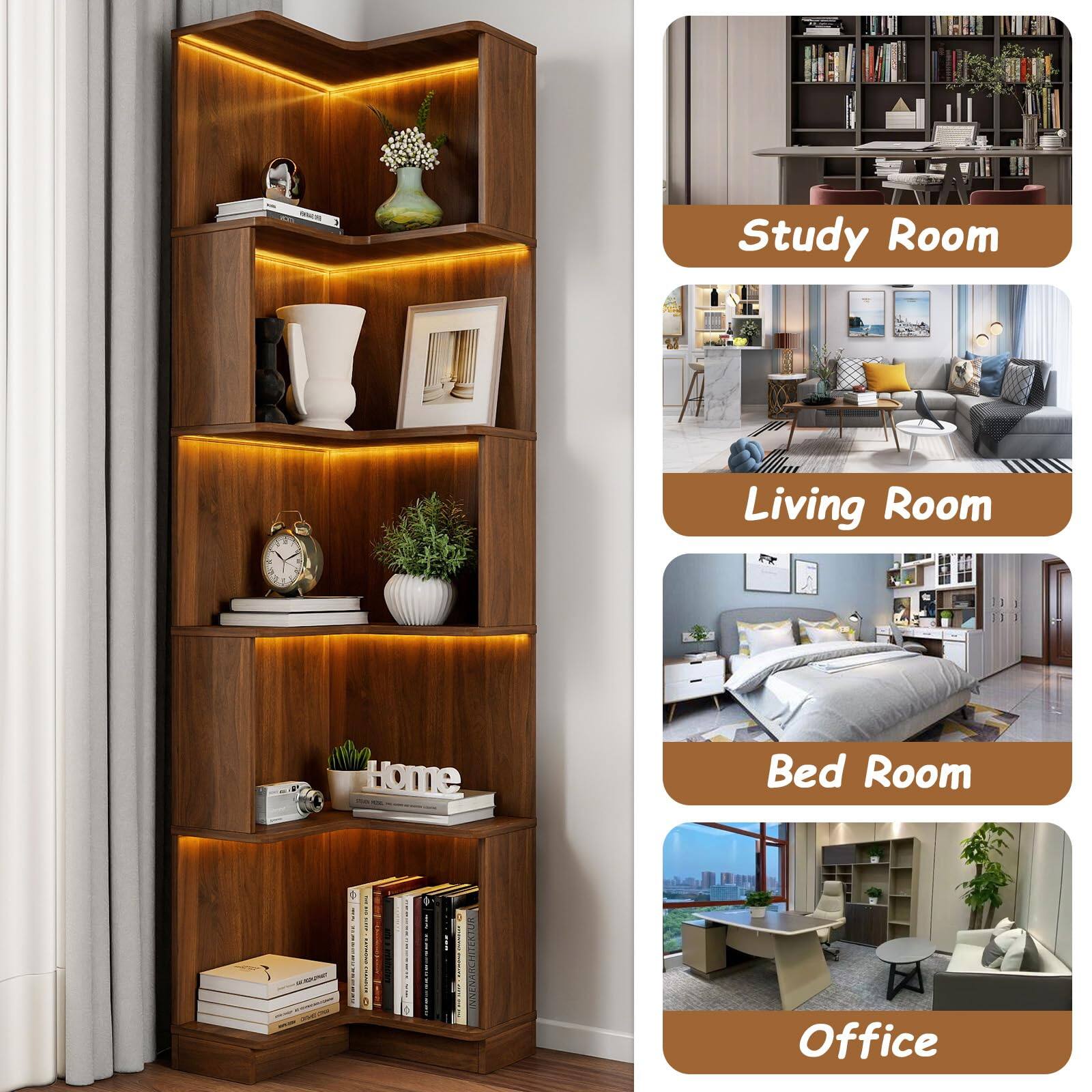 - Study Room
- Living Room
- Bed Room
- Office