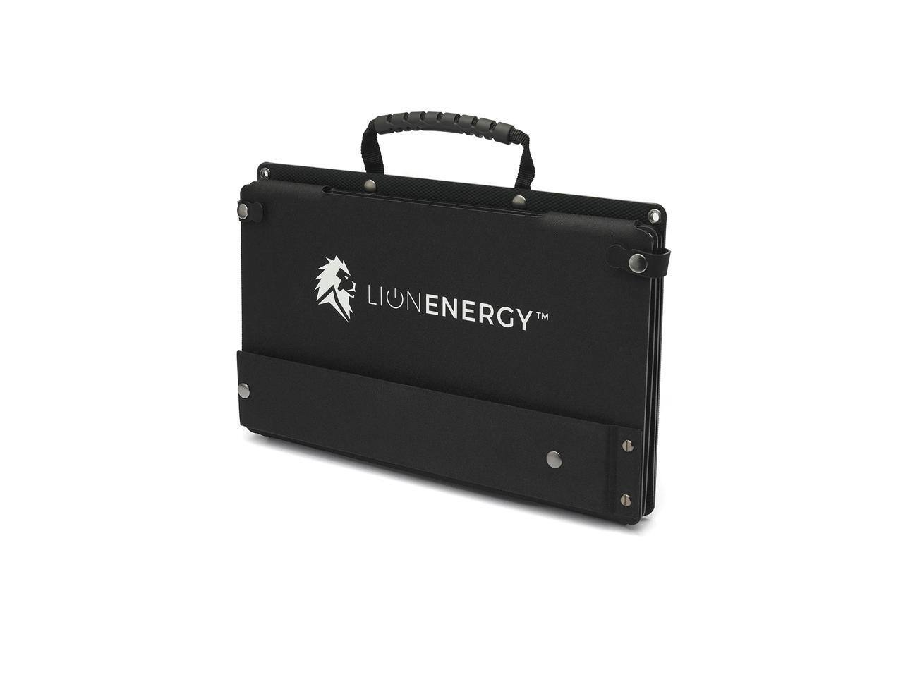 LIONENERGY™