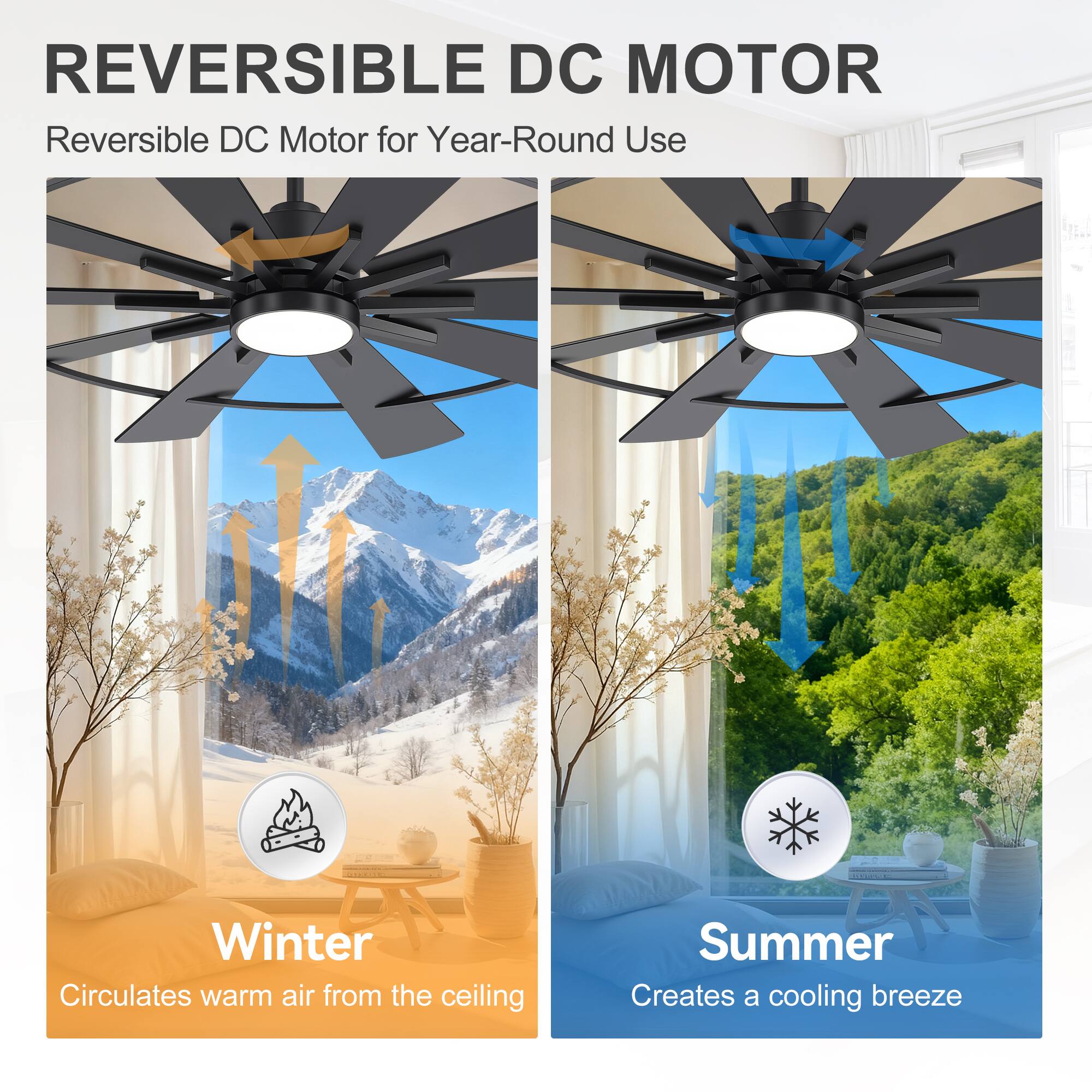REVERSIBLE DC MOTOR  
Reversible DC Motor for Year-Round Use  
Winter: Circulates warm air from the ceiling  
Summer: Creates a cooling breeze