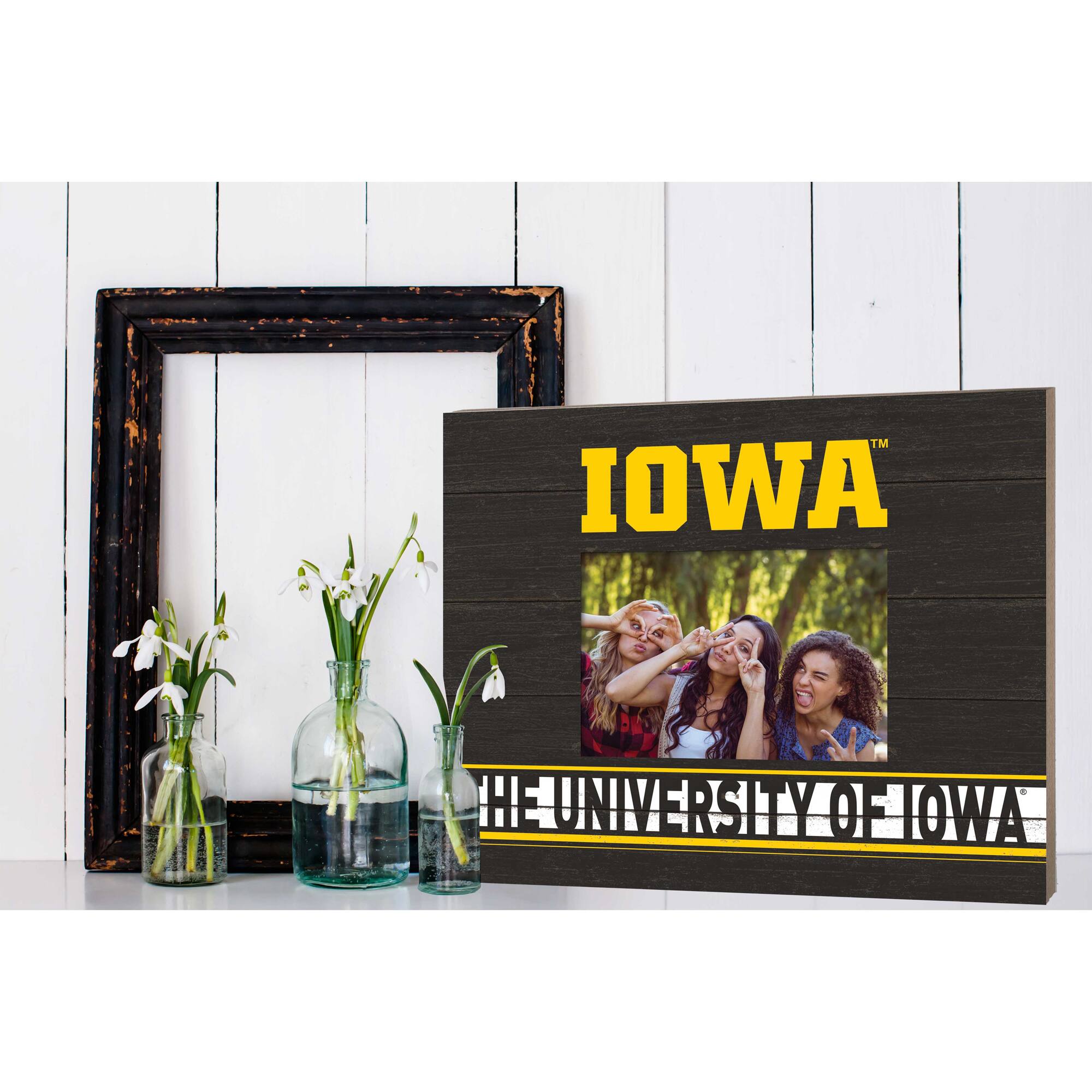 IOWA  
THE UNIVERSITY OF IOWA