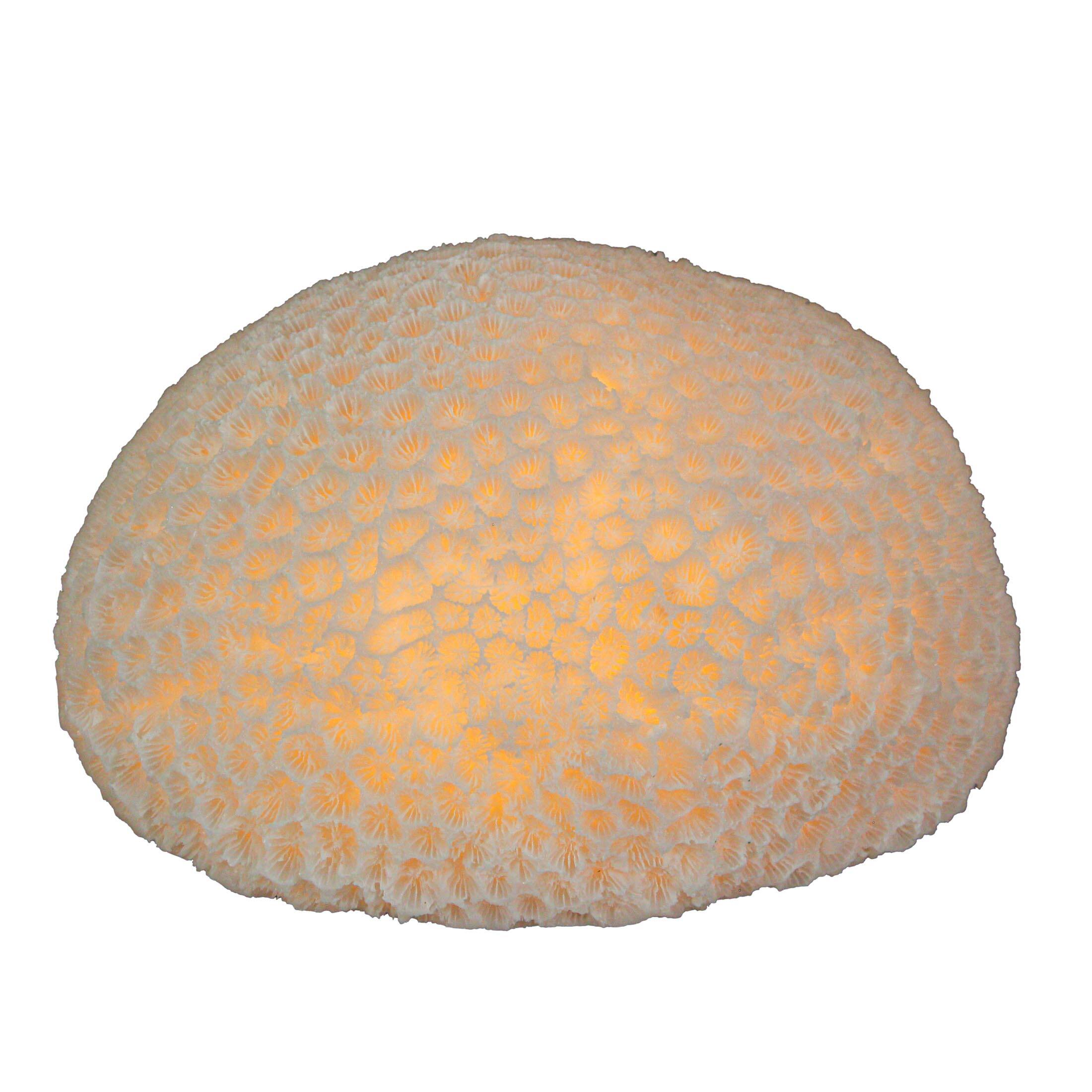 Alt View 6. Contrast Inc. - 6 Inch Resin LED Brain Coral Accent Lamp Decorative Sea Table Light Nautical Home Decor - White.