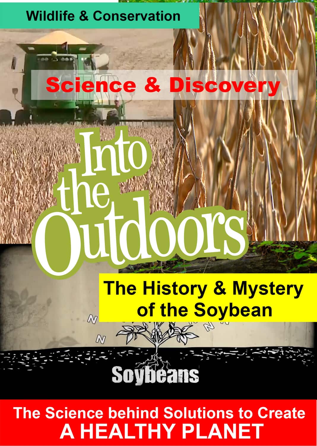 The History & Mystery of the Soybean  - DVD