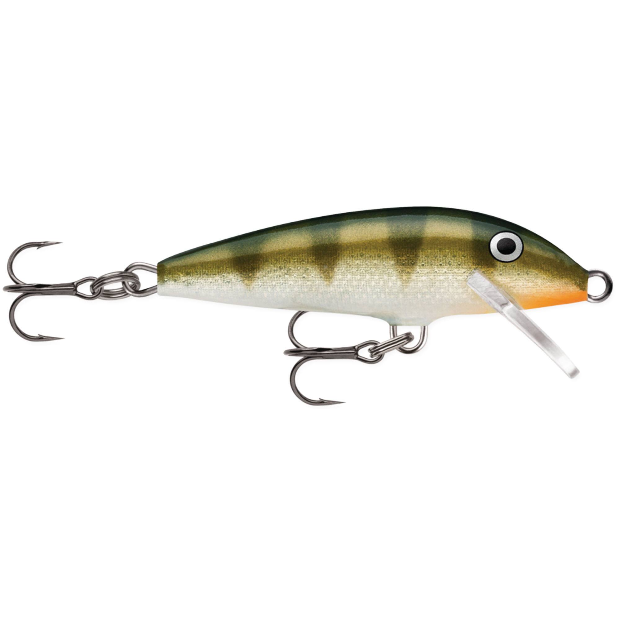 Yellow Perch