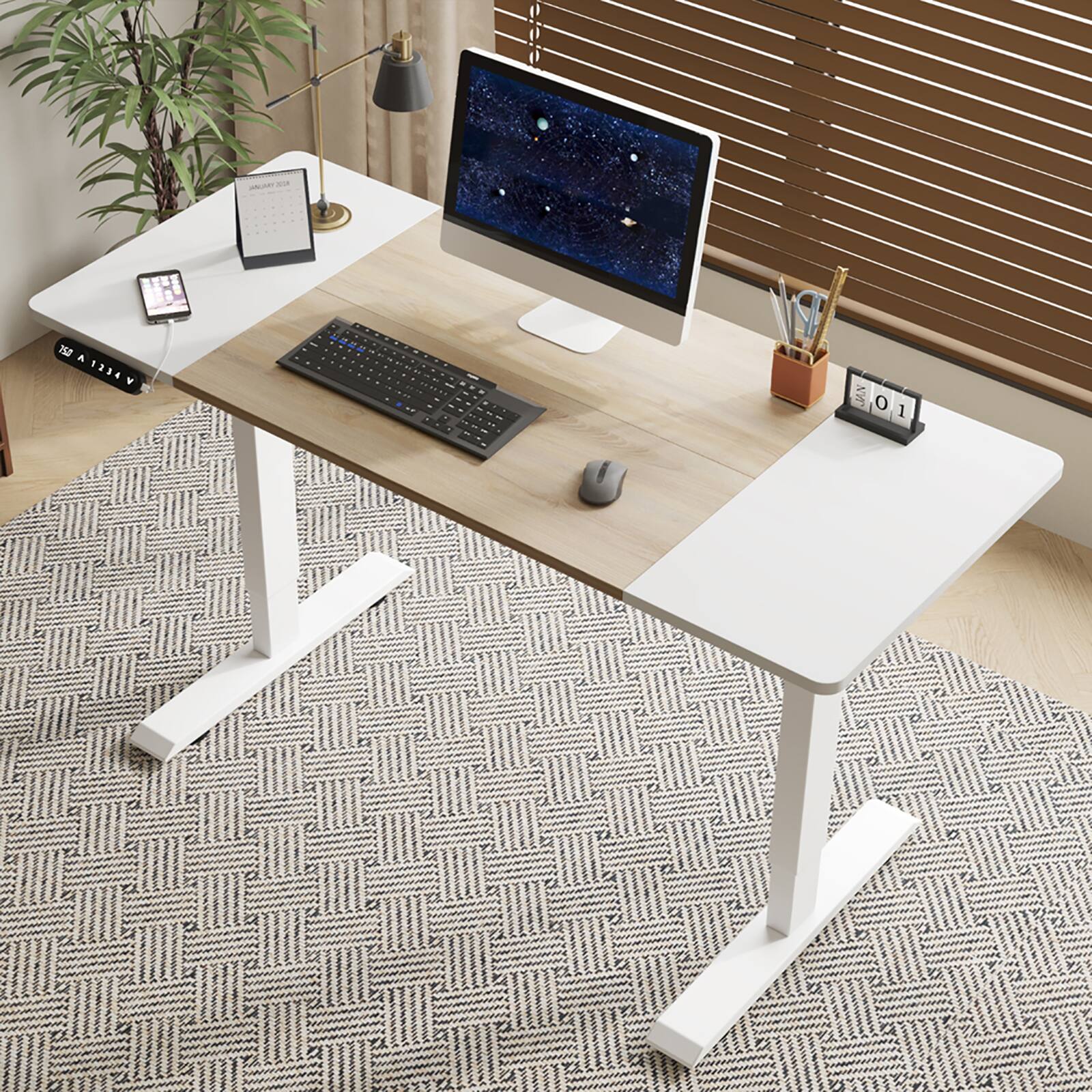 Chateau Abodes - 55" Electric Standing Desk with Adjustable Height, Real Wood Top & USB/LED, 4 Memory Buttons - Oak+Natural
