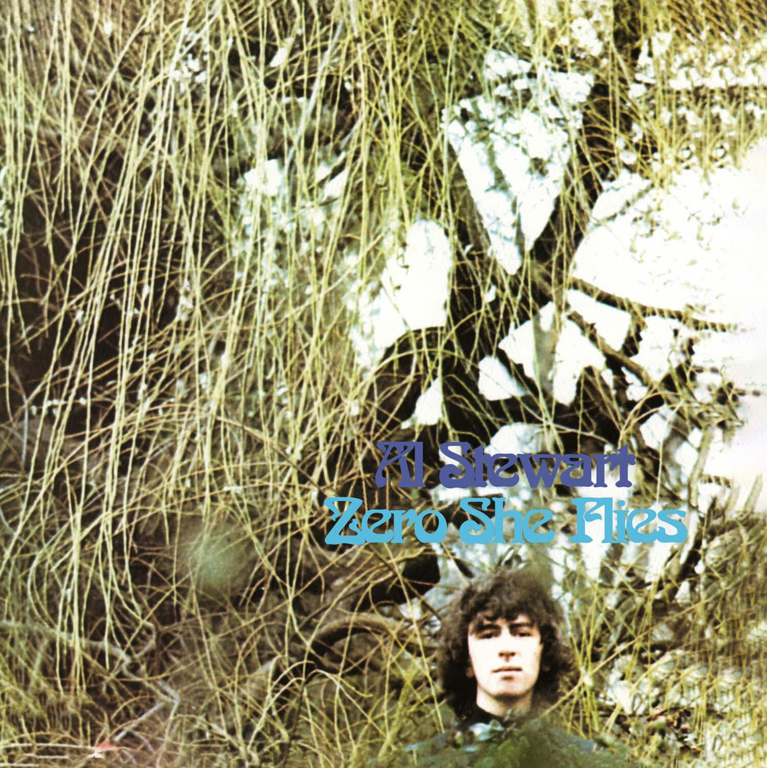 Al Stewart - Zero She Flies   - COMPACT DISCS [CD] price history on PriceWatchPro