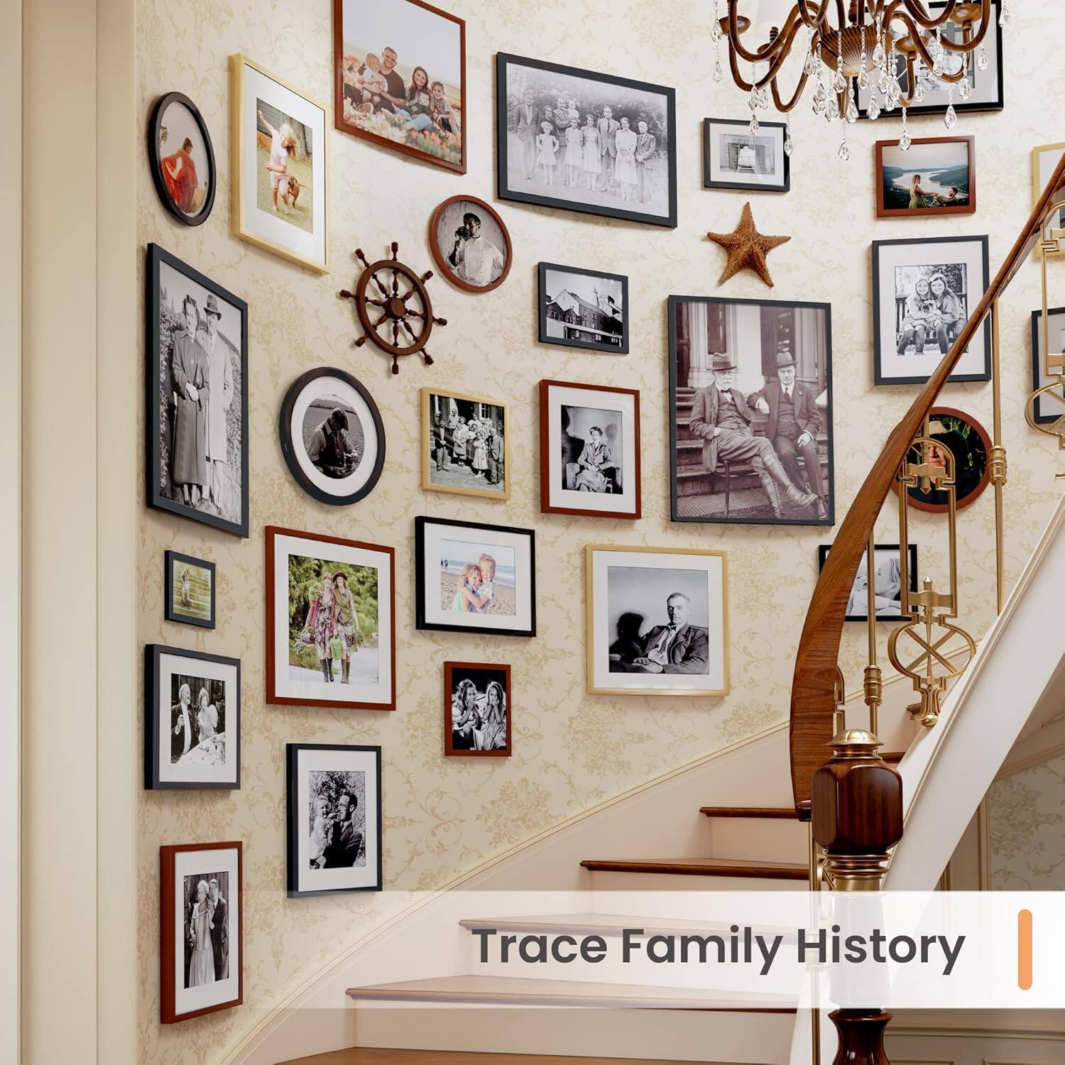 Trace Family History